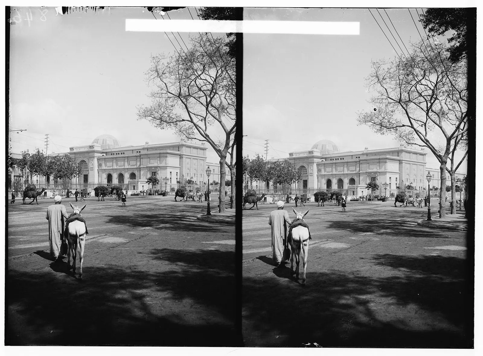 Historic Egyptian Museum building in Cairo